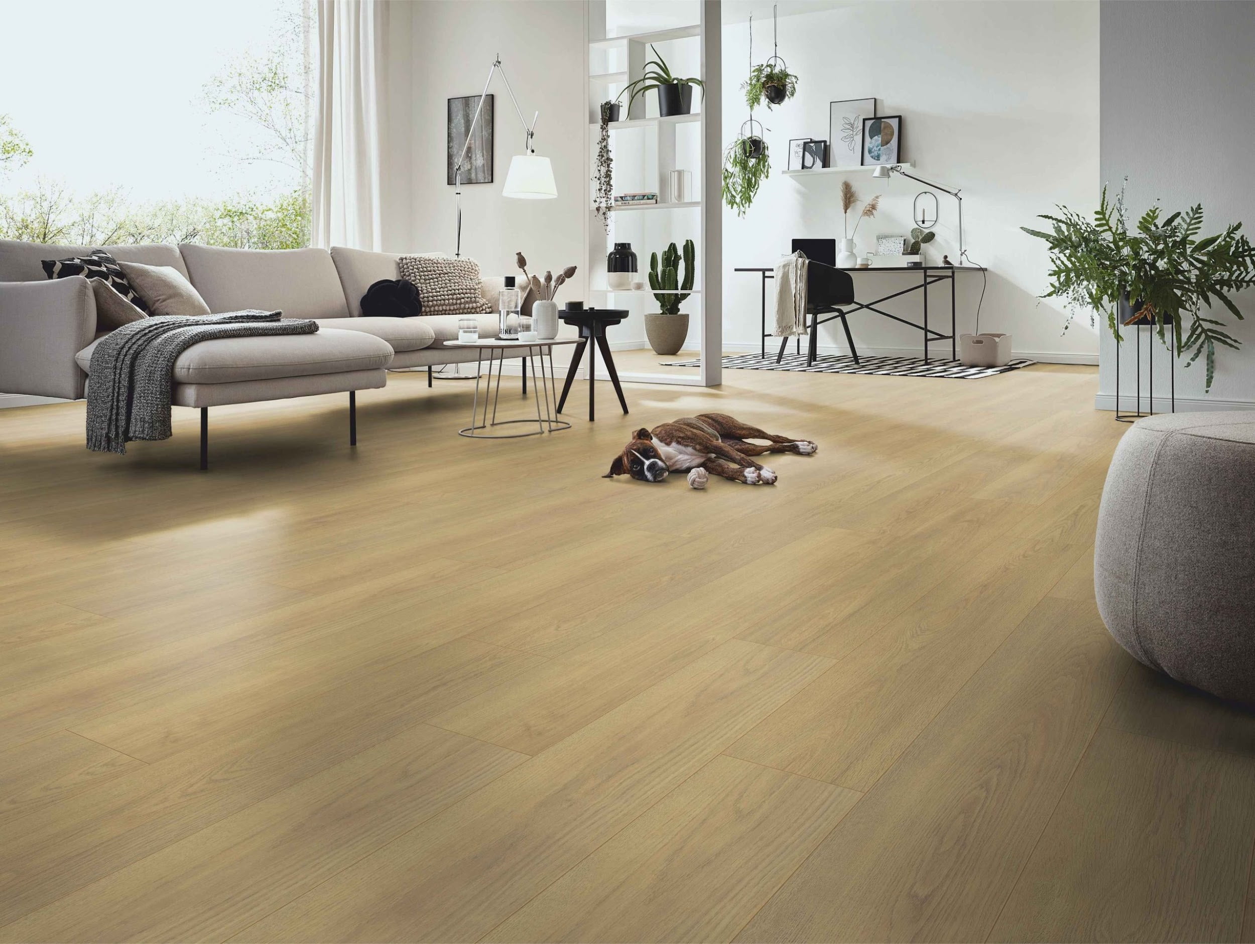 Laminate Wood Flooring